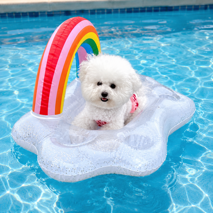 Inflatable Dog Float